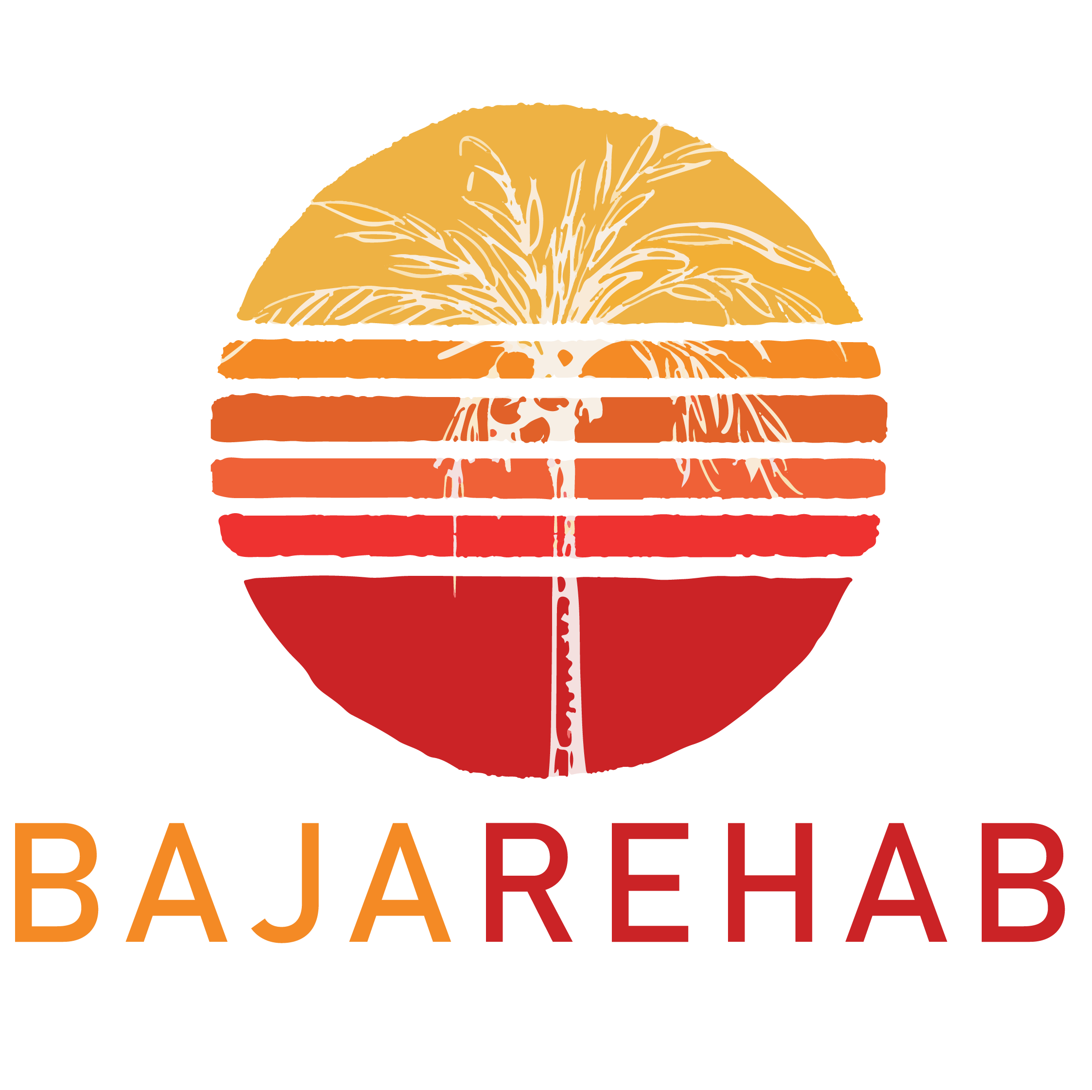 Baja Rehab